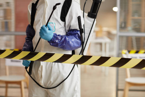 Professional Sewage Cleanup technician working in Wilmont, MN